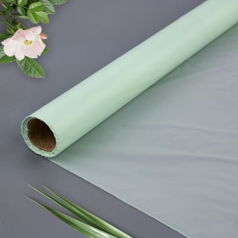 Пленка тишью влагостойкая 25мкр 60см х 10м, мята, Микрос/тч35100