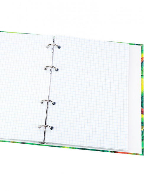 Тетрадь А5+ 80 клетка "Хамелеоны и авокадо", на кольцах, Prof-Press/80-2946