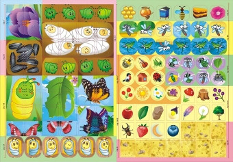 Раскраска с наклейками (А4) "В мире насекомых", РНЗН-005