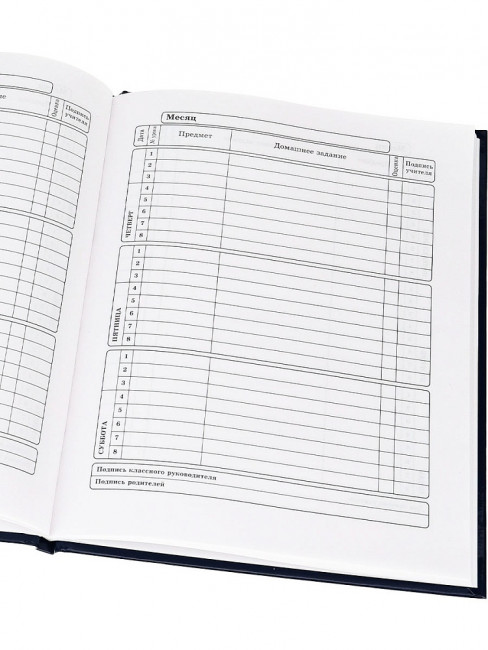 Дневник А5 40л 1-11 класс "Минимализм и берёзки", сшивка, Profit/Д40-3226 (24)