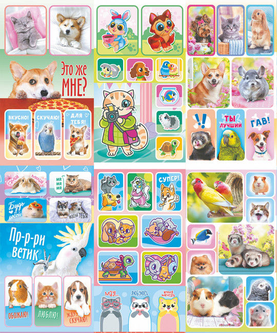 Альбом наклеек А6, 3л, АЛНК-038