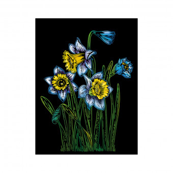 Гравюра  20 x 25,5см "Нарциссы", Hobbius/SGHM №06