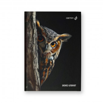 Бизнес-блокнот 64л французская клетка "Сова - мудрая голова", обложка - твердый картон, Светоч/ББ246_01673 (4/24)