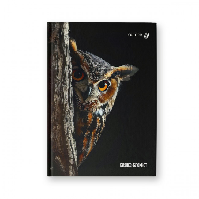 Бизнес-блокнот 64л французская клетка "Сова - мудрая голова", обложка - твердый картон, Светоч/ББ246_01673 (4/24)