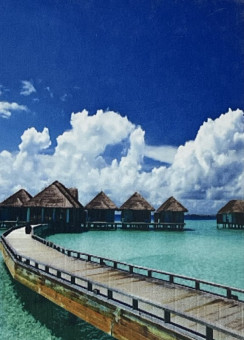 Алмазная мозака 20 см х 30 см, JS28227, полное заполнение, ASMAR