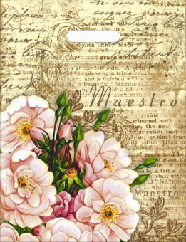 Пакет ПВД (31*40) 60 мкм "Маэстро" (50) Пакет ПВД (31*40) 60 мкм "Маэстро" (50)