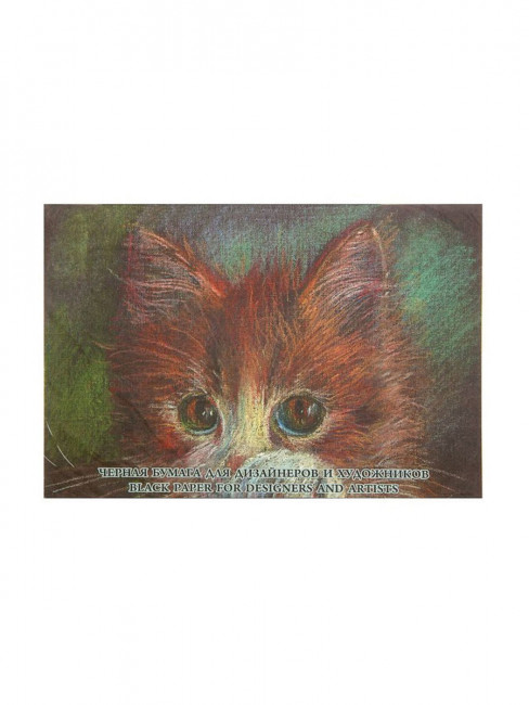 Бумага тонированная А-4 "Black", 200гр 10 л. /10/