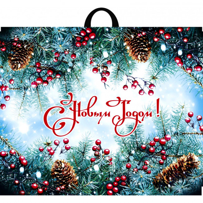 Пакет ПВД петлевой (71*55) 90 мкм "Голубая ель" (25)