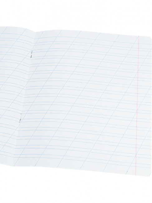 Тетрадь 12 дополнительная косая линия "Фруктово-ягодное настроение" скрепка, Prof-Press/12-8979 (25/250)