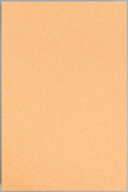 Фетр А4 в наборе 10 листов, толщина 1 мм, бежевый Asmar (10)