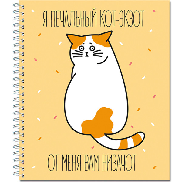 Тетрадь общ.,170х203, 48л., гребень, "Котаны", 4+0+уф, 4 диз (30)