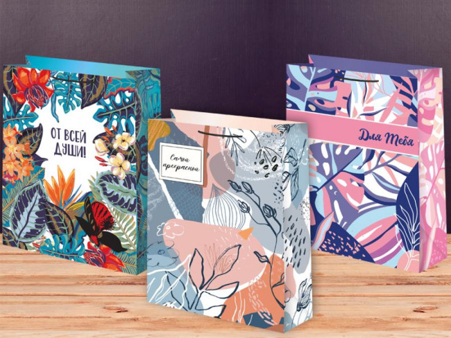 Пакет подарочный 18см х 23см, 3 вида ассорти, Микрос/Ч43561 (12)