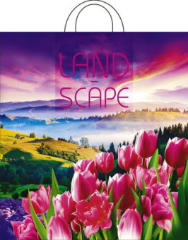 Пакет ПНД петлевой (38*42) 40 мкм "Просторы" (25)