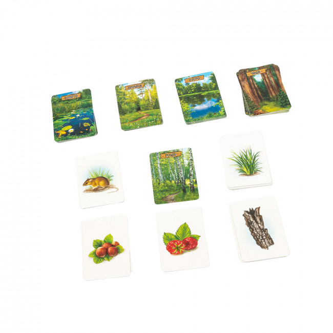 Игра настольная "Эврикус"   "Лесные истории"   BG-11016 .