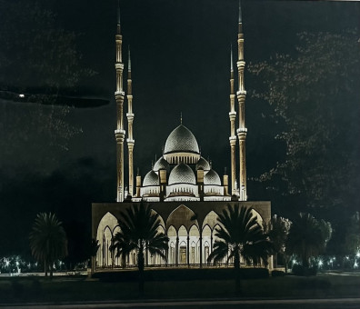 Алмазная мозаика 40 см х 50 см GA87806