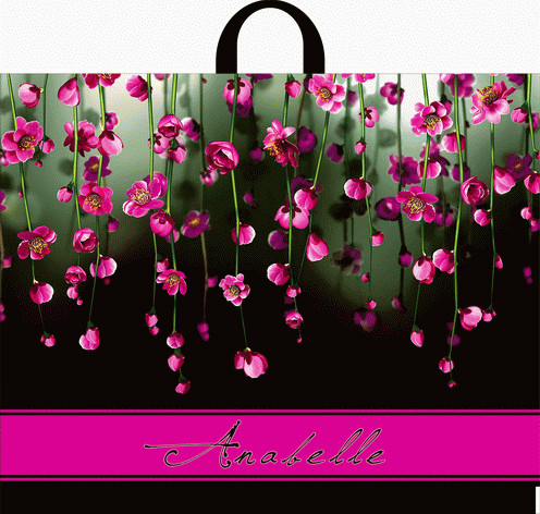 Пакет ПВД петлевой (55*60) 50 мкм "Анабель"