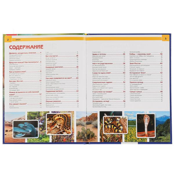 Энциклопедия «Змеи». Формат: 197 х 255мм 48стр, Умка