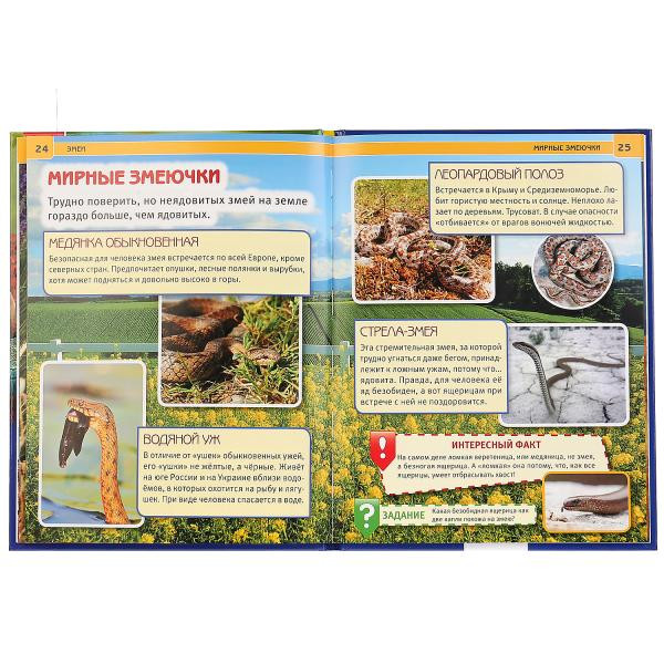 Энциклопедия «Змеи». Формат: 197 х 255мм 48стр, Умка