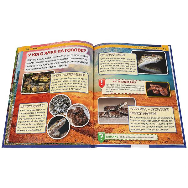 Энциклопедия «Змеи». Формат: 197 х 255мм 48стр, Умка