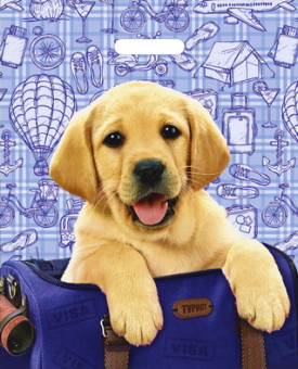 Пакет ПВД (38*47) 60 мкм "Турист" (50)