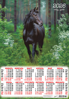 Календарь-плакат А2 2026г "Вороной красавец", ПО-26-120