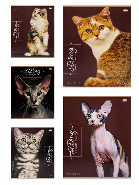 Тетрадь 48 клетка "Благородные кошки", скрепка, Prof-Press/48-9380 (5)