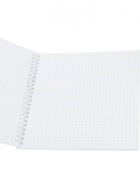 Тетрадь 48 клетка "Вид на мегаполисы", на гребне, Prof-Press/48-4540 (4)