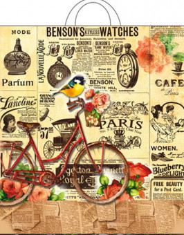 Пакет ПВД петлевой (40*42) 45 мкм "Старое время" (25)