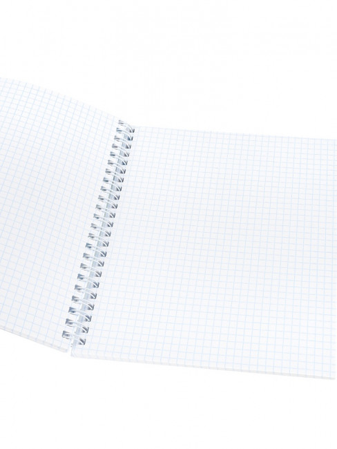 Тетрадь 48 клетка "Дикие кошачьи", на гребне, Prof-Press/Т48-4879 (4)