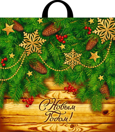 Пакет ПВД петлевой (44*44) 70 мкм "Праздник у дверей" (25)