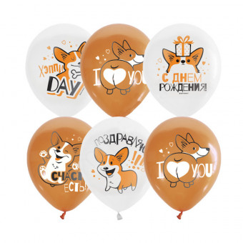 Шар12" Пастель рис. Корги С днем рождения 1ст. 2 цв /White&Orange (25 шт./уп.)/М