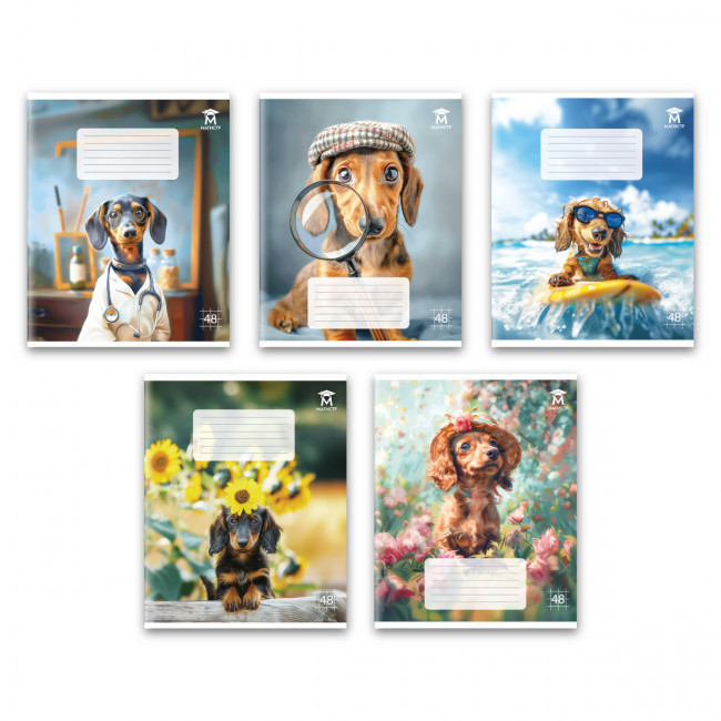 Тетрадь 48 клетка Магистр "Модные собачки", белизна 100% (5 дизайнов ассорти) (10/60)