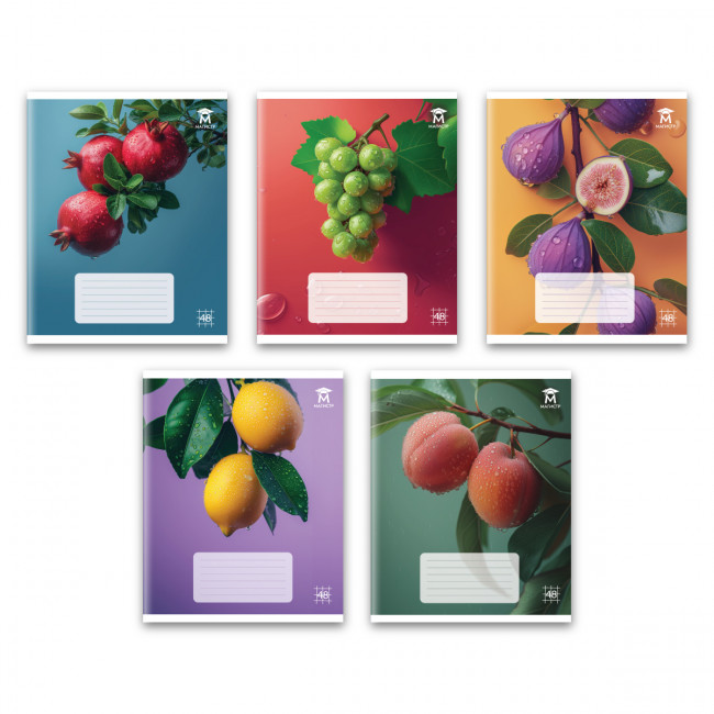 Тетрадь 48 клетка Магистр "Фрукты", белизна 100%  (5 дизайнов ассорти) (10/80)