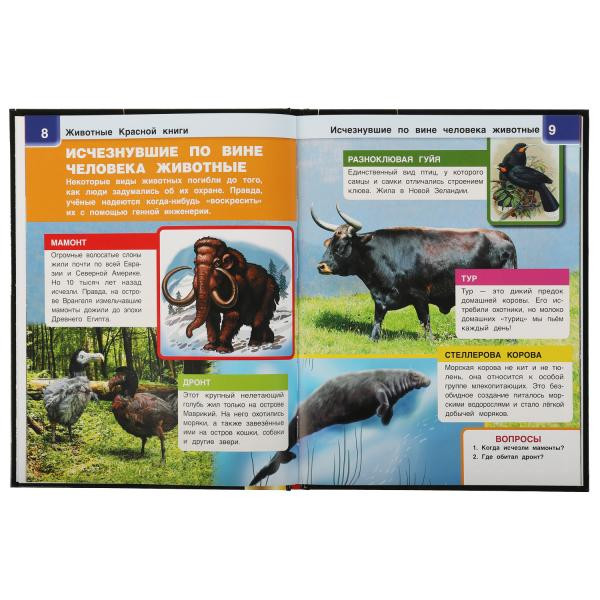 Энциклопедия с дополненной реальностью 4D «Животные Красной книги». Формат: 197х255мм 48 стр, Умка Энциклопедия с дополненной реальностью 4D «Животные Красной книги». Формат: 197х255мм 48 стр, Умка
