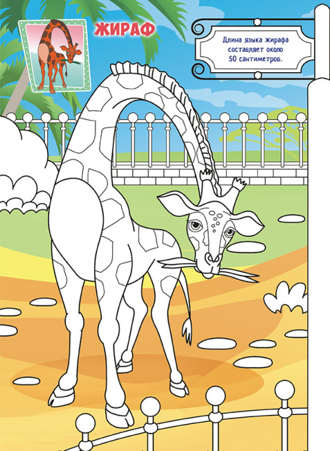 Раскраска (А4) РКСБ-700