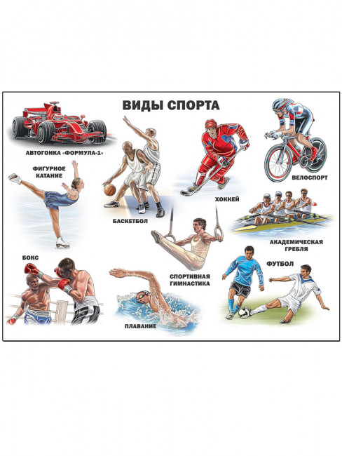 Плакат "Виды спорта" Формат: 480х665х1мм, Проф-Пресс
