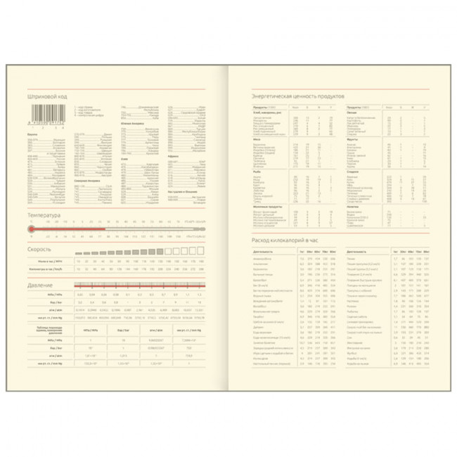 Ежедневник недат. A5, 136л, кожзам "Vision.Wild style.Silver blue", тон.бл, цв.срез Greenwich Line Ежедневник недат. A5, 136л, кожзам "Vision.Wild style.Silver blue", тон.бл, цв.срез Greenwich Line