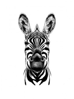 Скетчбук А5 Зебра (7БЦ, 40 л, на резинке, 100г ) (айвори) С40-4207