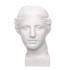 Гипсовая фигура Малевичъ голова Венеры 195260 Гипсовая фигура Малевичъ голова Венеры 195260