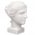 Гипсовая фигура Малевичъ голова Венеры 195260 Гипсовая фигура Малевичъ голова Венеры 195260