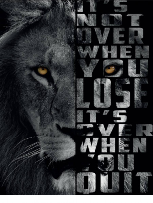 Пакет подароч. 18x23x10см "Стильный лев" с глянц. лам. (M), MILAND/ПКП-4226 Пакет подароч. 18x23x10см "Стильный лев" с глянц. лам. (M), MILAND/ПКП-4226