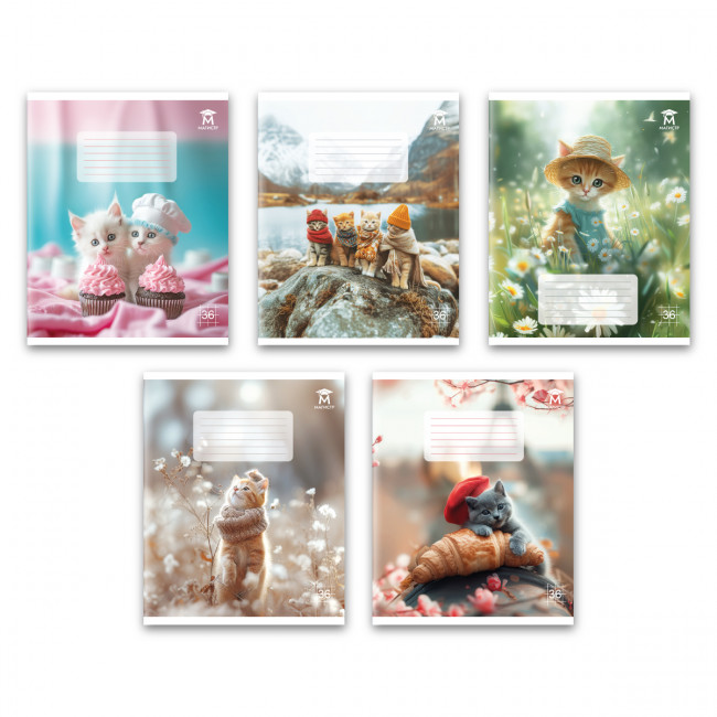 Тетрадь 36 клетка Магистр "Модные котики", белизна 100% (4 дизайна ассорти)