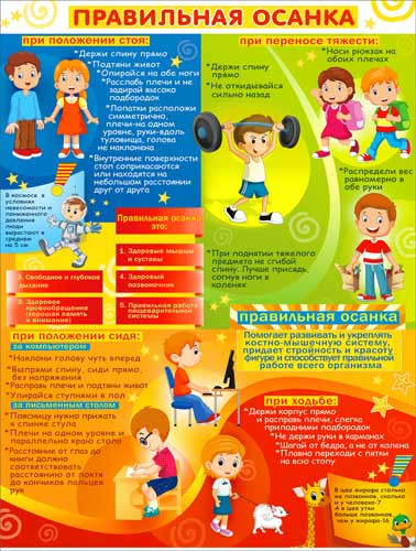Плакат "Правильная осанка" р2-284 (10)