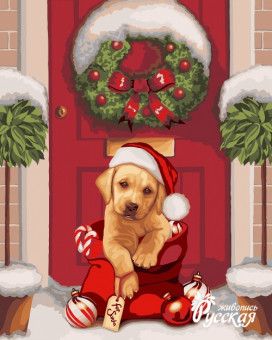 Набор для творчества "Рисование по номерам". H060 Новогодний подарок 40*50