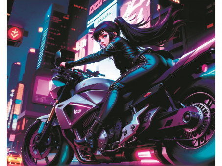 Набор для рисования по номерам 40х50 "Жажда скорости" 30 цветов, Рыжий Кот/Х-8574