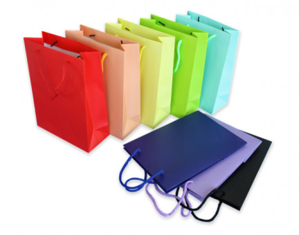 ПАКЕТ ПОДАРОЧНЫЙ ОДНОТОННЫЙ 24*18*8 (12)