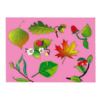 Трафарет-раскраска в АССОРТИМЕНТЕ 12 видов, пакет (60) (ТР-11, ЛИСТЬЯ), ТР