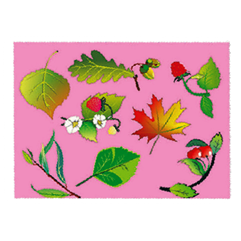 Трафарет-раскраска в АССОРТИМЕНТЕ 12 видов, пакет (60) (ТР-11, ЛИСТЬЯ), ТР