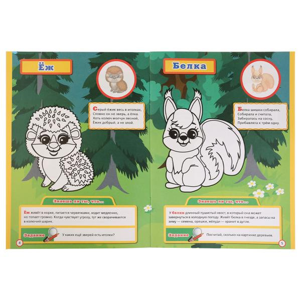 Энциклопедия «Лесные животные» 5 в 1. Формат: 214 х 290мм 16стр, Умка