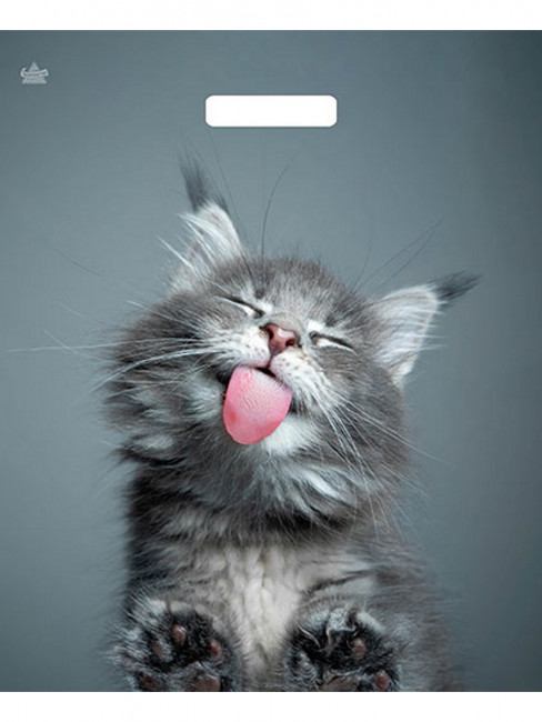 Пакет вырубной Кот 45*38/60 мкм н00213119